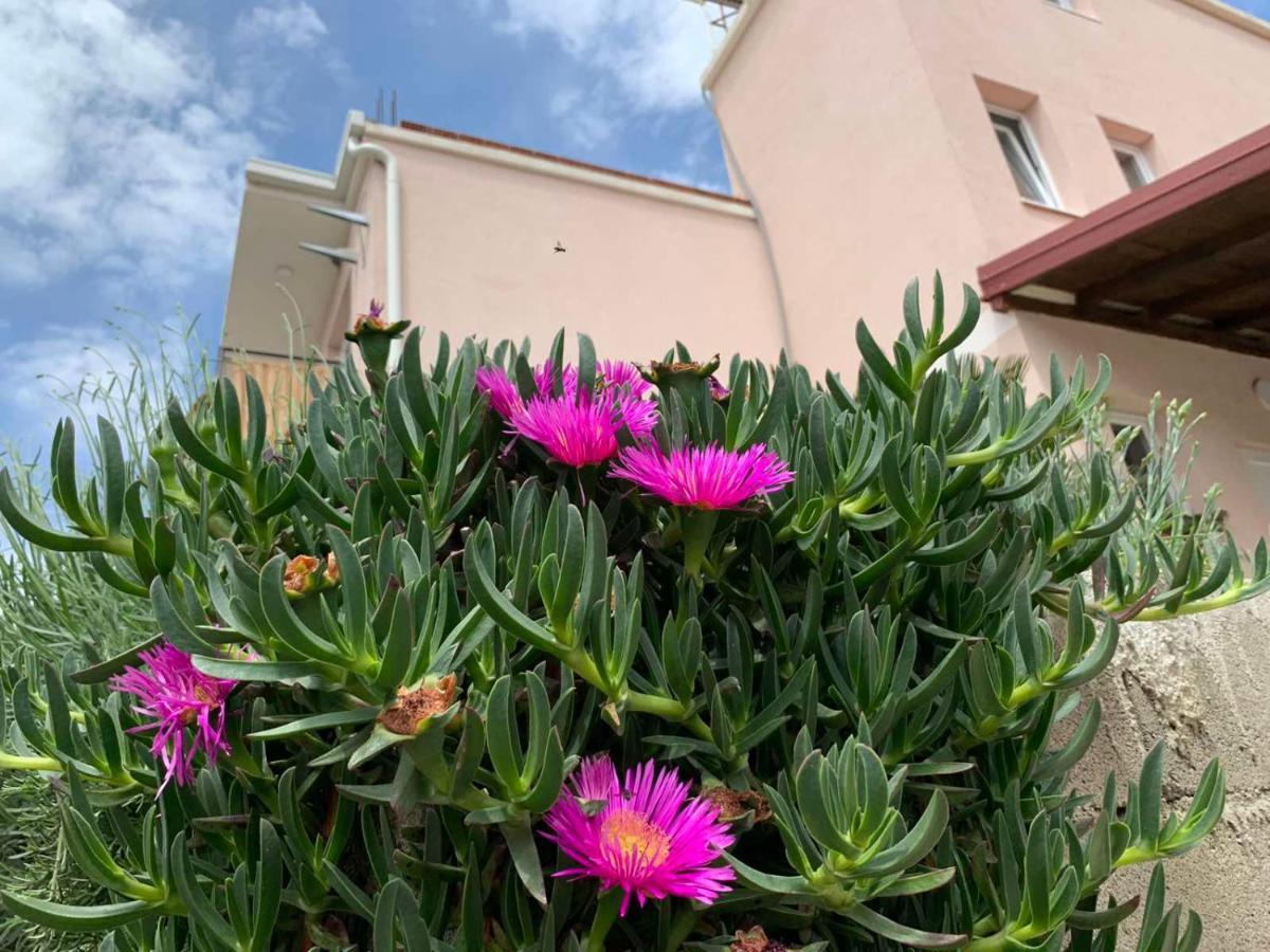 Vila Bella Jaz Budva Luaran gambar